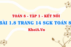 Bài 1.8 trang 14 SGK Toán 8 tập 1 Kết nối tri thức